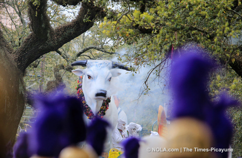 Rex rolls in New Orleans: See photos of the Mardi Gras parade